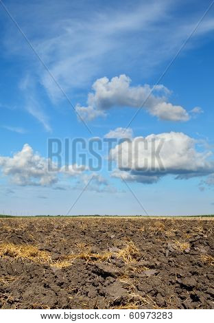 Agriculture, Ground In Field