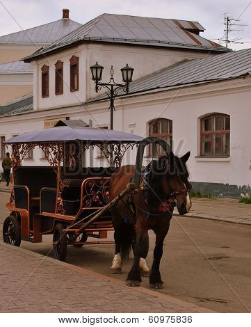 Horse with coach