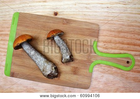 Two Mushroom Leccinum