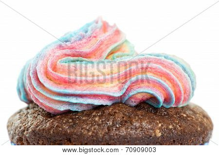 chocolate cupcake with pink,blue icing