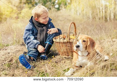 Pretty Little Boy On Autumn Forest Glade
