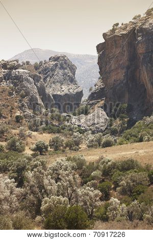 Amari Valley In Crete With Trees And Road. Greece