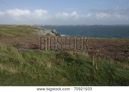 Porth Ruffydd