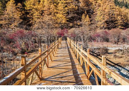 Colorful Autumn