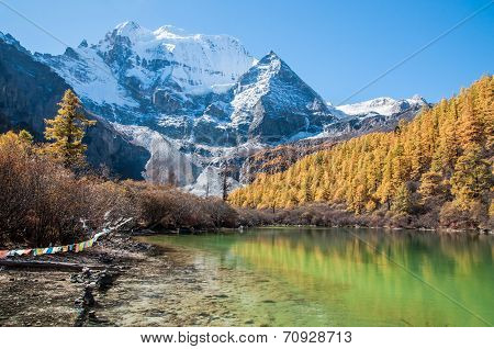 Colorful Autumn