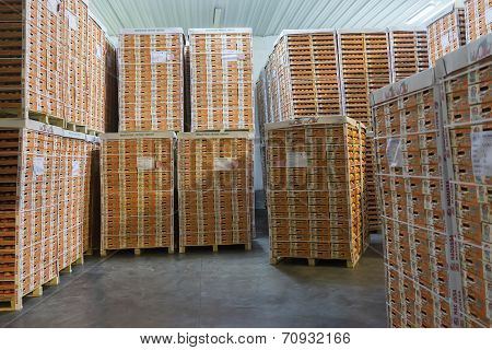 Products Of Agricultural Cooperative Of Naoussa Greece Stacked In Boxes. The Famous 