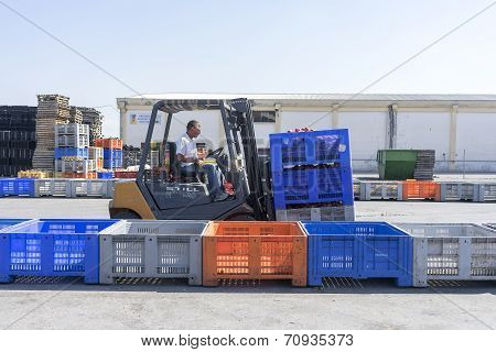A Worker Transporting Boxes With Fruits Of Agricultural Cooperative Of Naoussa Greece. The Famous 
