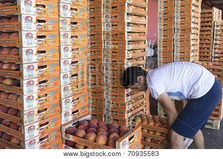 Products Of Agricultural Cooperative Of Naoussa Greece Carried In Boxes. The Famous 