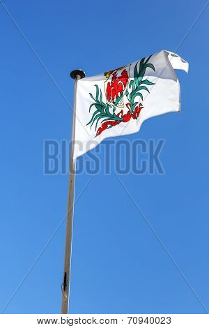 Flag, Nice In France