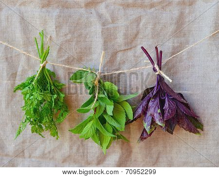 Sweet Herbs