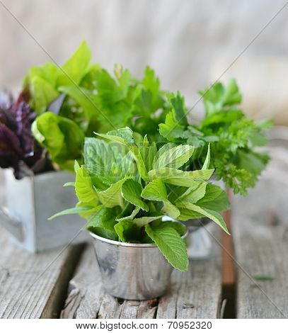 Sweet Herbs