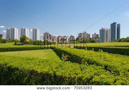 Cityscape Of Curitiba, Brazil