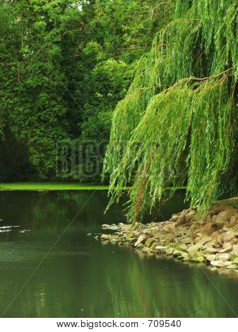 Waters Edge