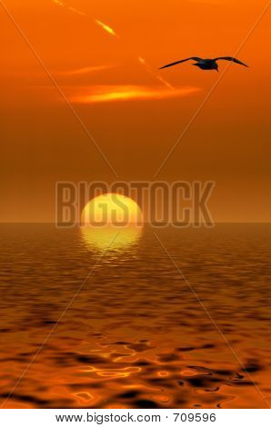 Lokkien ja auringonlasku