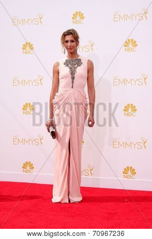 LOS ANGELES - AUG 25:  Alysia Reiner at the 2014 Primetime Emmy Awards - Arrivals at Nokia at LA Live on August 25, 2014 in Los Angeles, CA