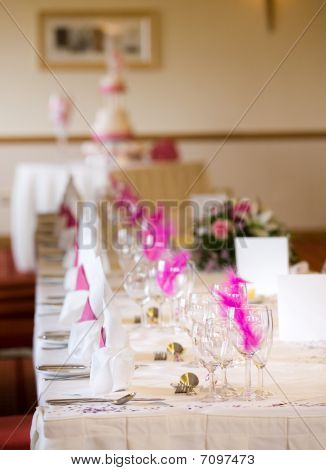 Réception de mariage Table Setting avec plumes roses et Glasss