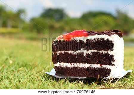 Delicious chocolate cake.
