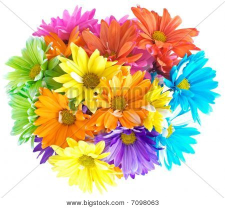 lebendige mehrfarbiger Daisy bouquet