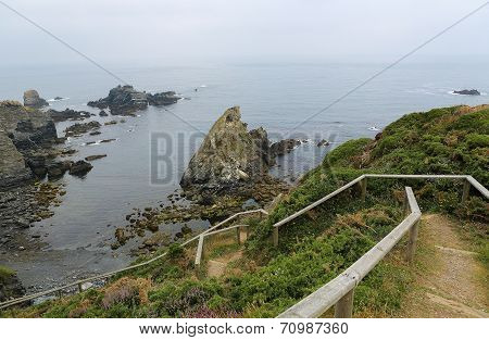 Ortigueira