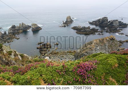 Ortigueira