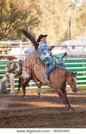 Willits, CA-juli 03: Deelnemers van de vierde van juli viering Willits Frontier dagen rodeo.