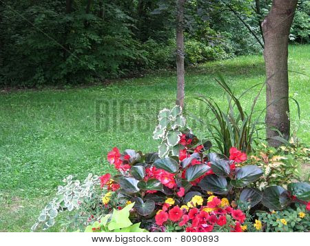 Blomst