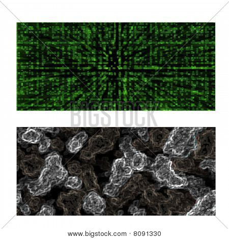 Computer Information and Bacteria