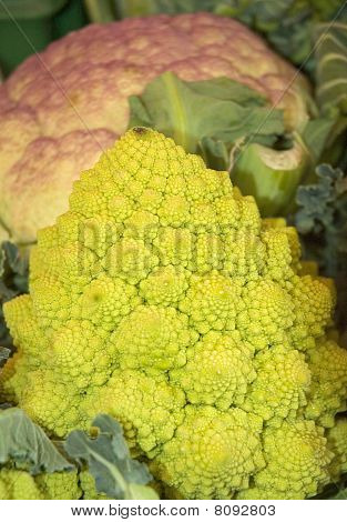 Romanesco Brokkoli v