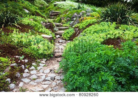 Stony Path And Stairs In The Green Garden