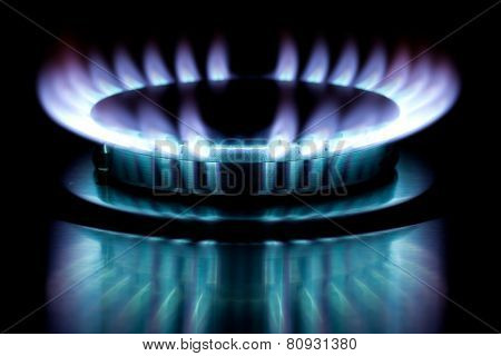 Gas Burner Flame