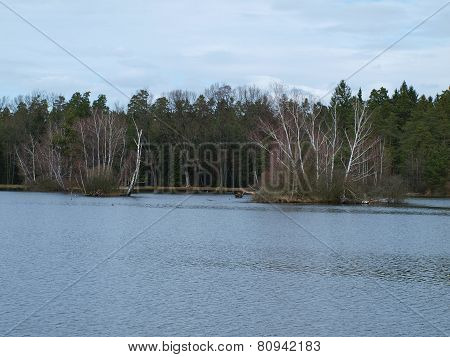 Pond With An Island And Woods