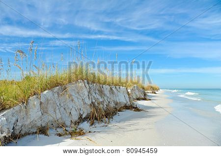 Beautiful Florida Coastline