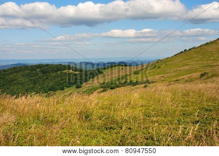 Bieszczady Mountains, Polonina Wetlinska