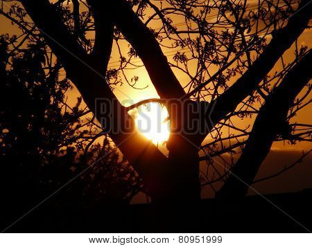 sunset