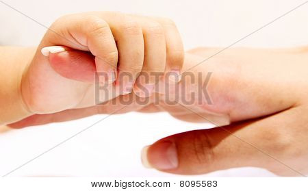 Concetto di famiglia
