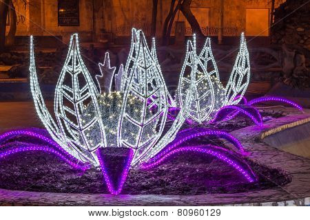 Water lilys lights