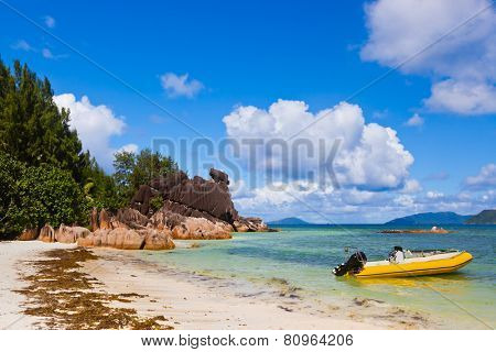 Tropical island Curieuse at Seychelles - nature background