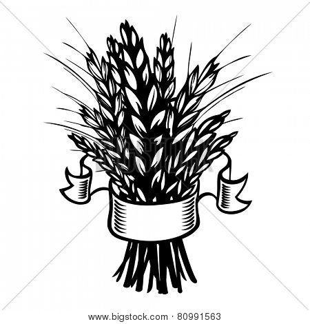 sheaf of wheat or rye on white. Eps8