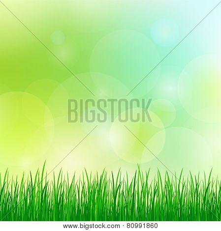 summer background with green grass. eps10