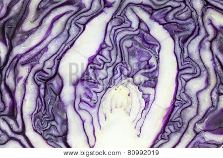Pattern Of Purple Cabbage