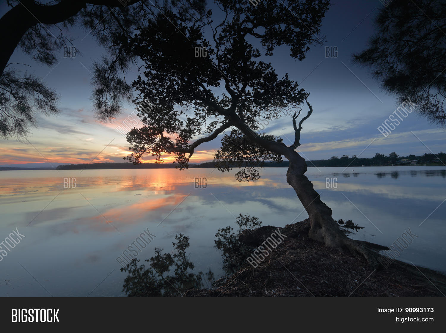 Image Preview