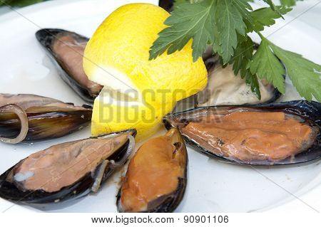Cozze, Mussels