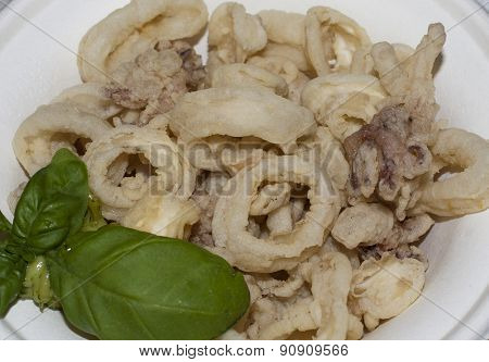Squid Fried - Frittura Di Totani