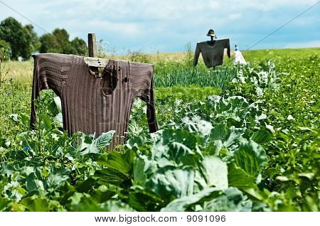 Spaventapasseri in un campo