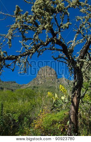 Inland Gran Canaria, Valsequillo Municipality