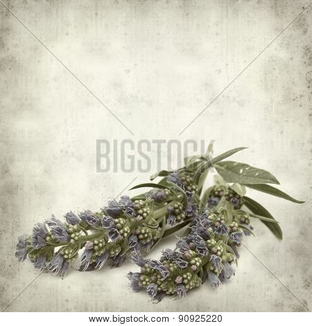 Textured Old Paper Background