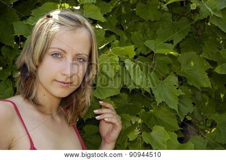 Girl On The Grapery Background