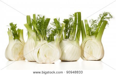 Fresh fennel bulb isolated on white background close up