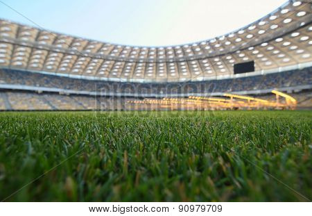 Young Grass In A Football Stadium