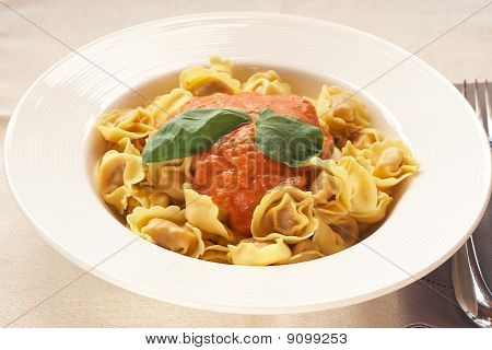 Płyta Bolognese Tortelloni